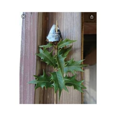 4CEC5A46-6672-4D70-9DA4-0DE2C483837D